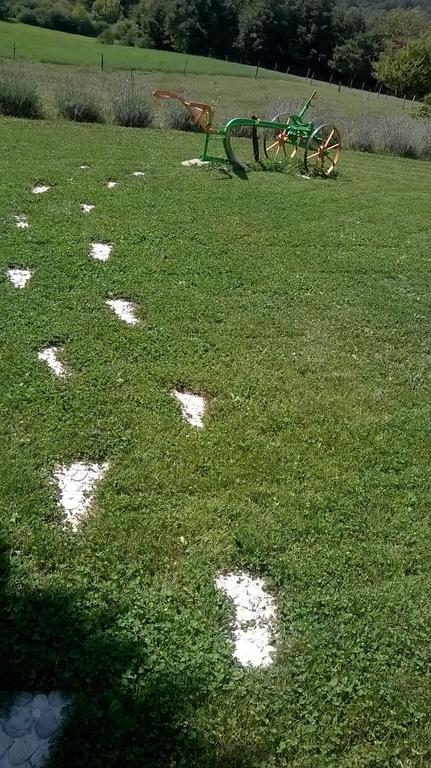Hotel Agroturism Stara Stala Borut Exterior foto