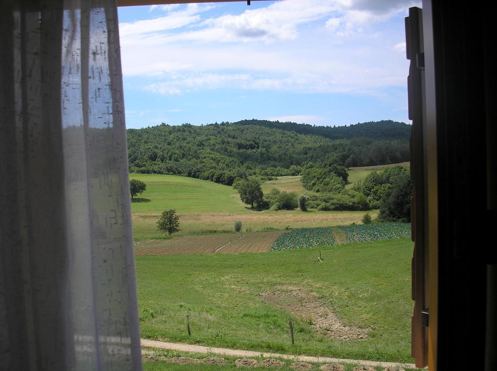 Hotel Agroturism Stara Stala Borut Zimmer foto