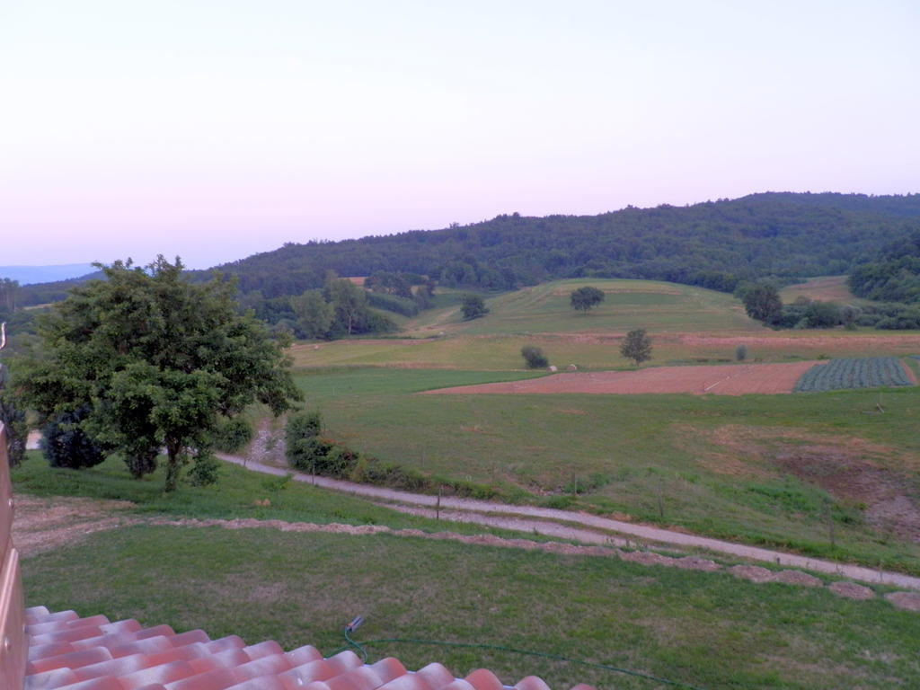 Hotel Agroturism Stara Stala Borut Zimmer foto