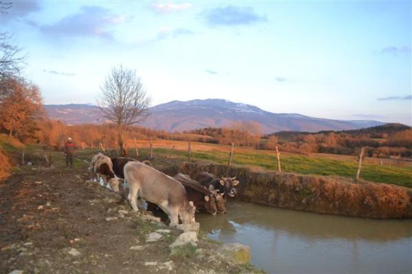 Hotel Agroturism Stara Stala Borut Exterior foto